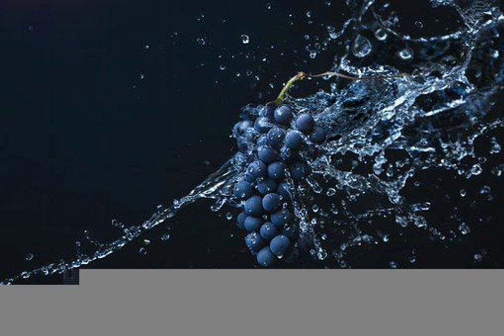 Muscadine Grapes and Ellagic Acid