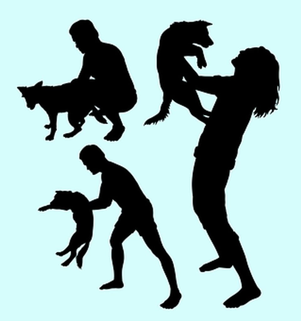 Positive and Negative Reinforcement Dog Training