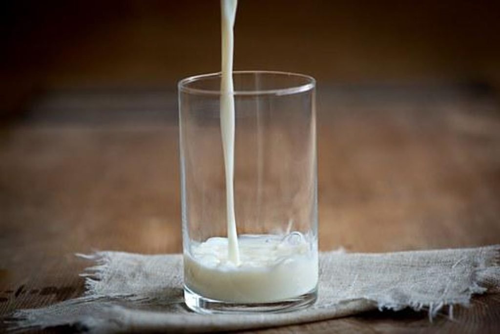 What Is A Protein Skimmer