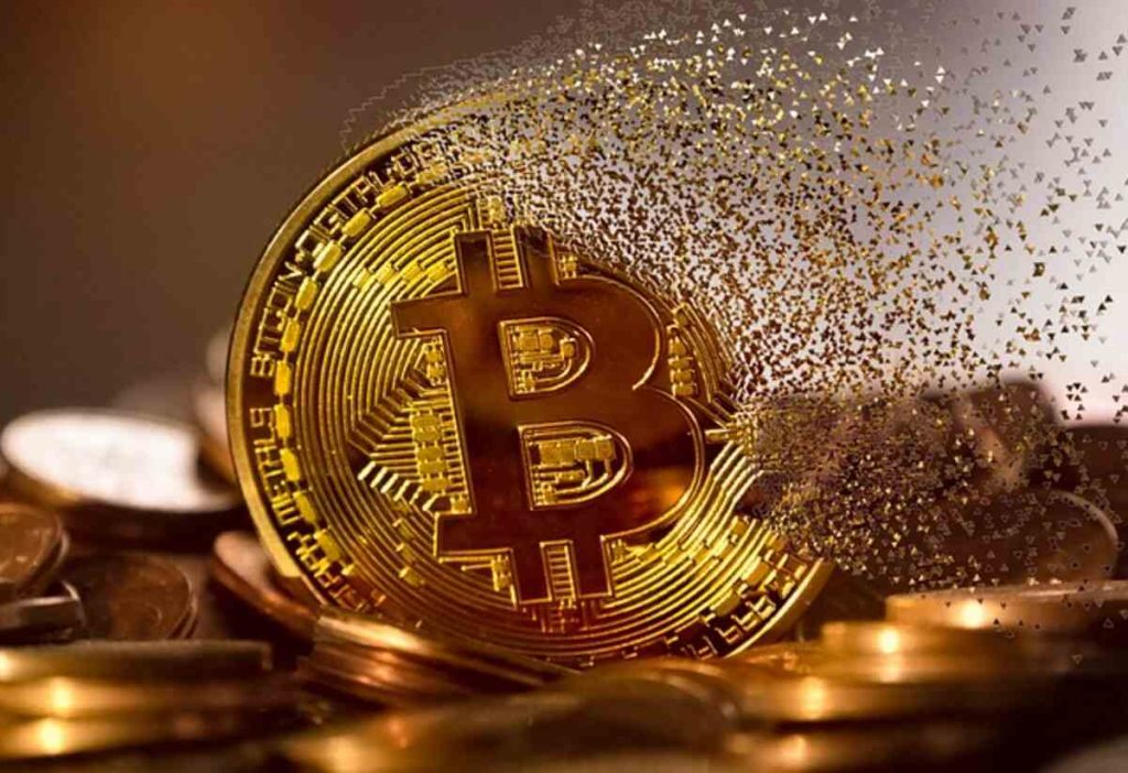 xsignal opportunity